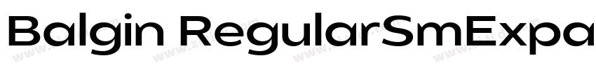 Balgin RegularSmExpa字体转换